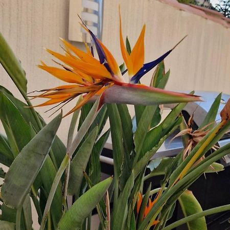 L'Oiseau Du Paradis Narbonne Bagian luar foto